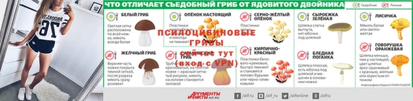 ПСИЛОЦИБИНОВЫЕ ГРИБЫ Ладушкин