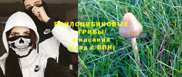 ПСИЛОЦИБИНОВЫЕ ГРИБЫ Ладушкин