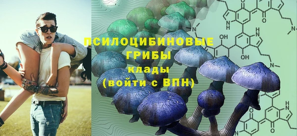ПСИЛОЦИБИНОВЫЕ ГРИБЫ Ладушкин