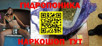 амф Гай
