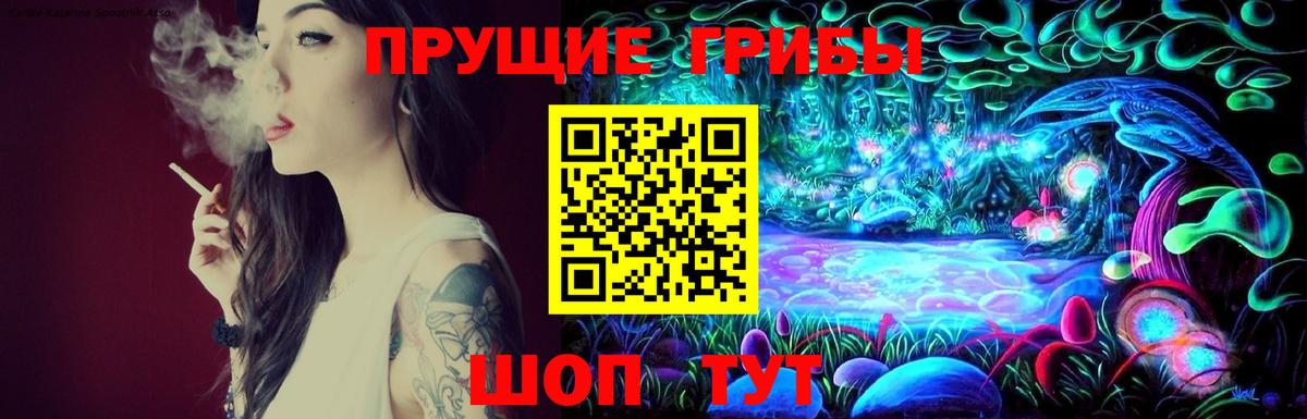 Псилоцибиновые грибы прущие грибы Электросталь